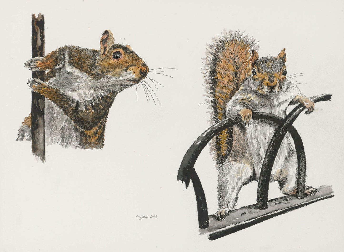 Two Squirrels - Mission Possible - art print