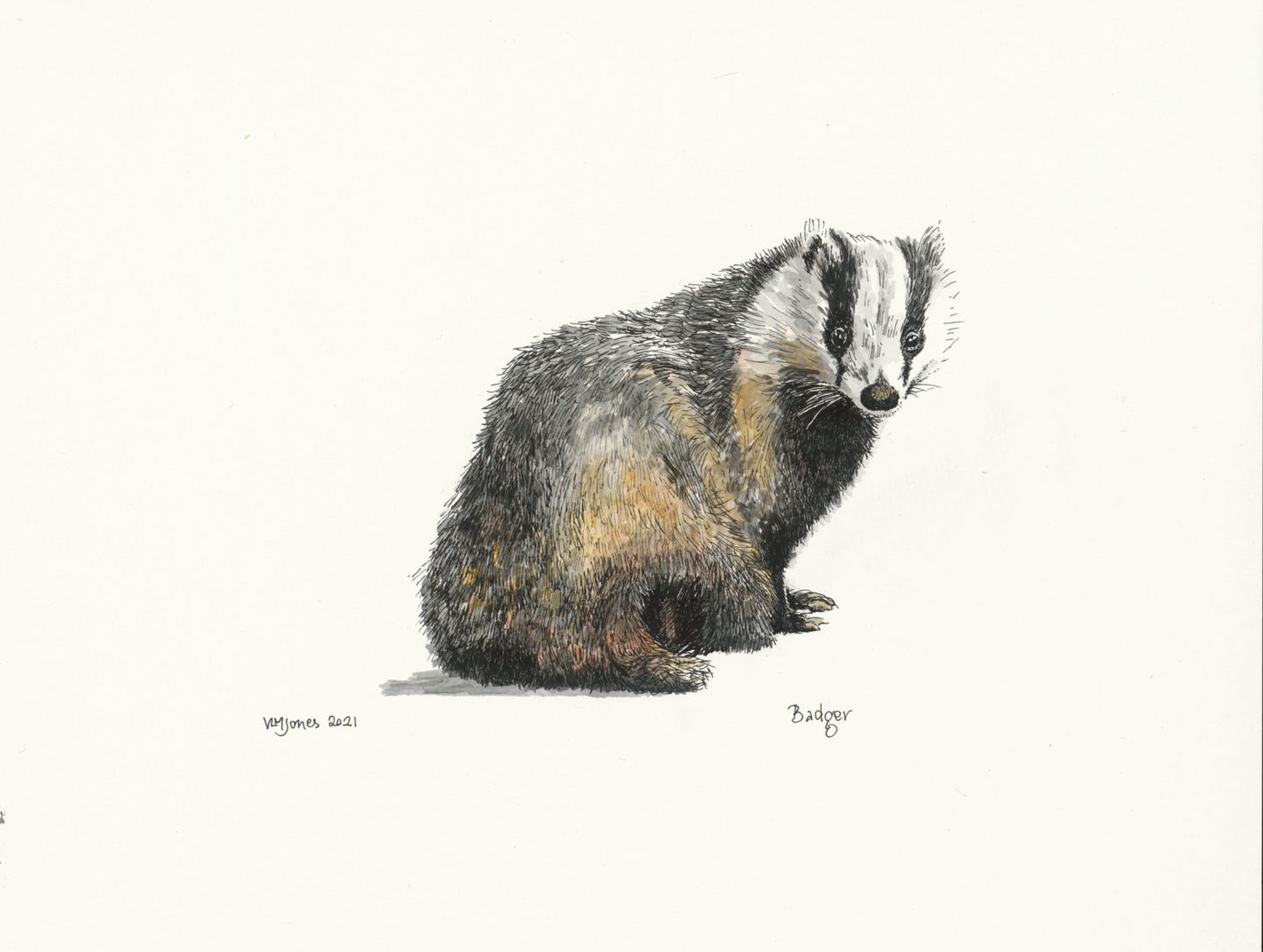 Badger - art print