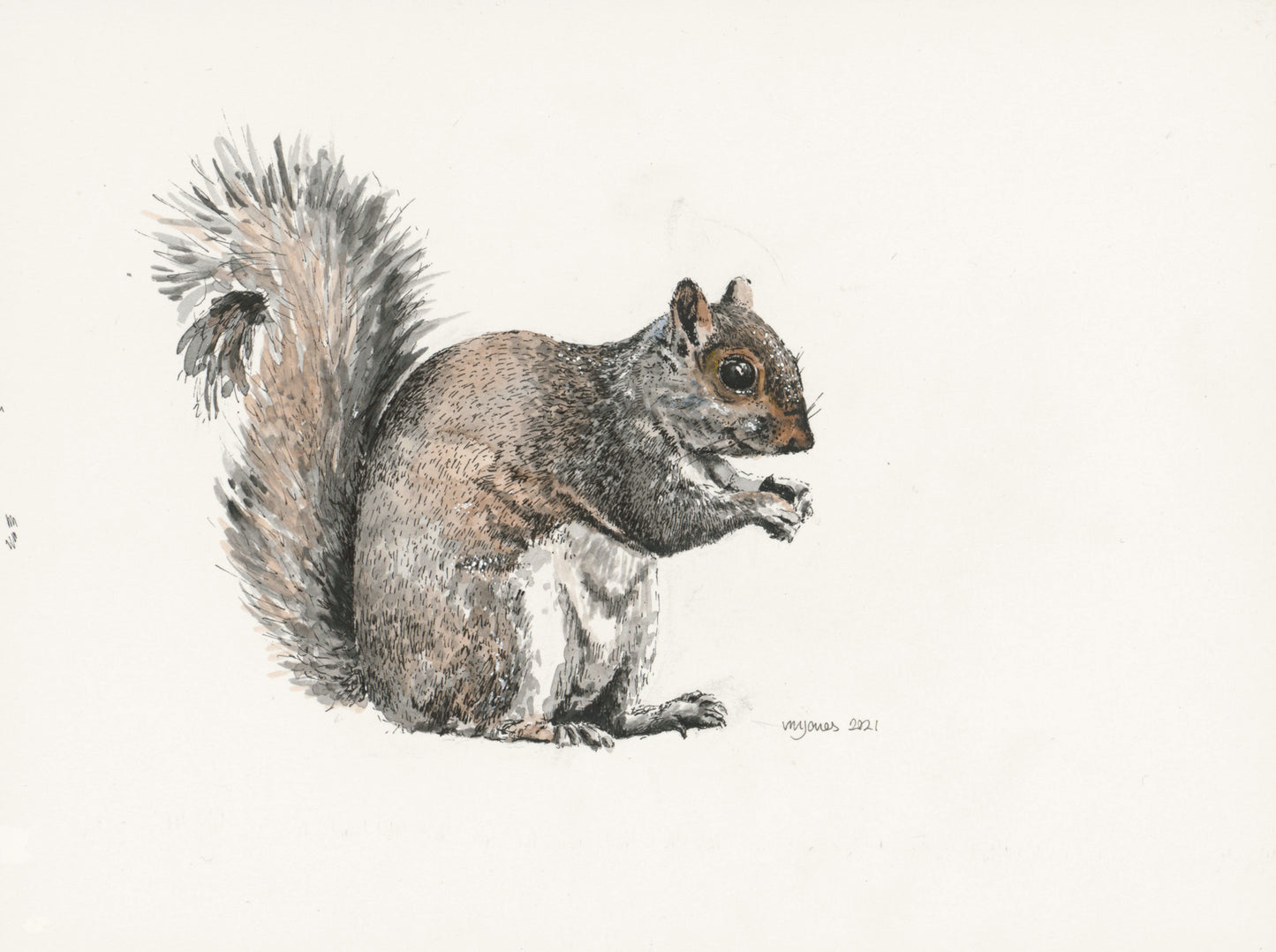 Squirrel with nut small - art print